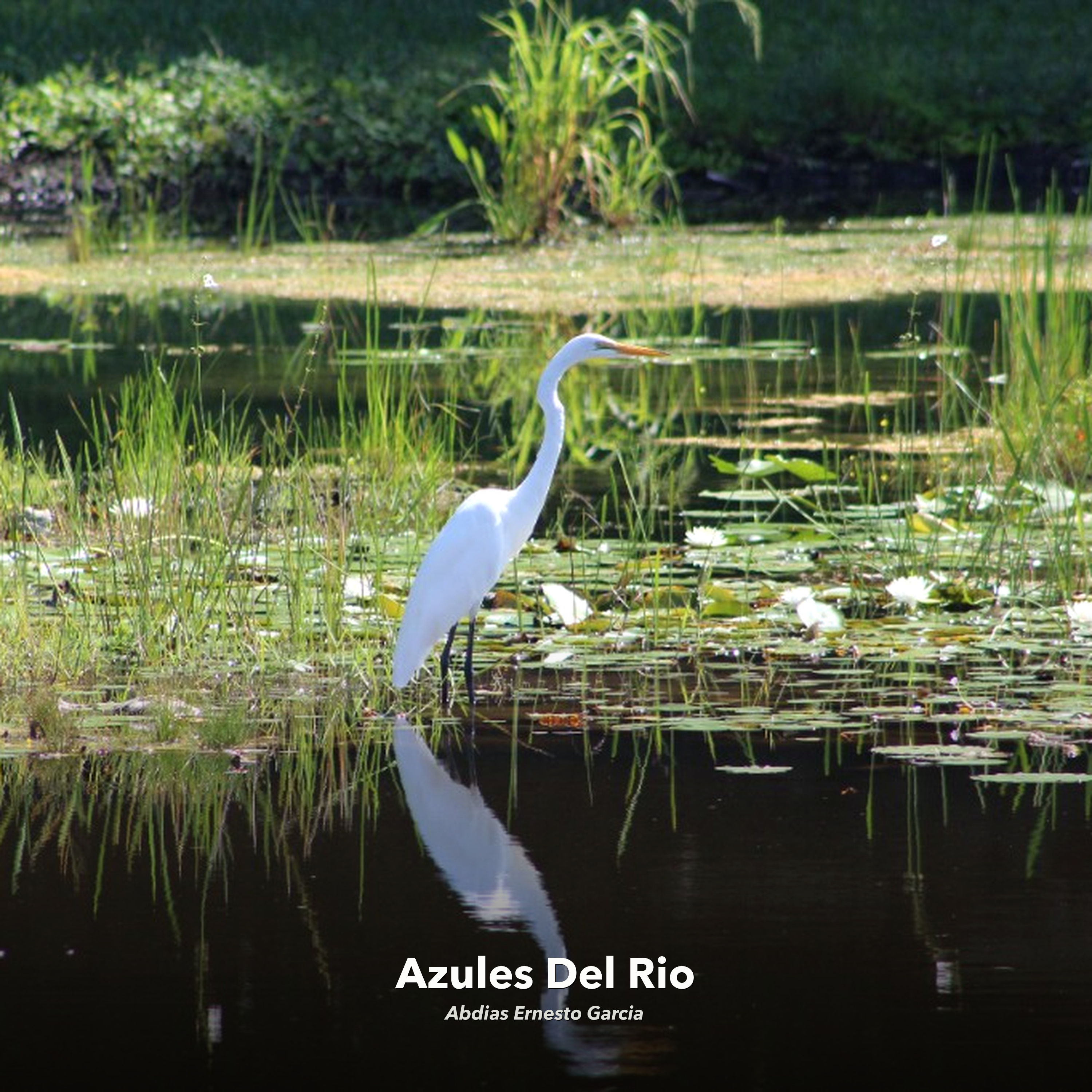 Azules Del Rio single cover