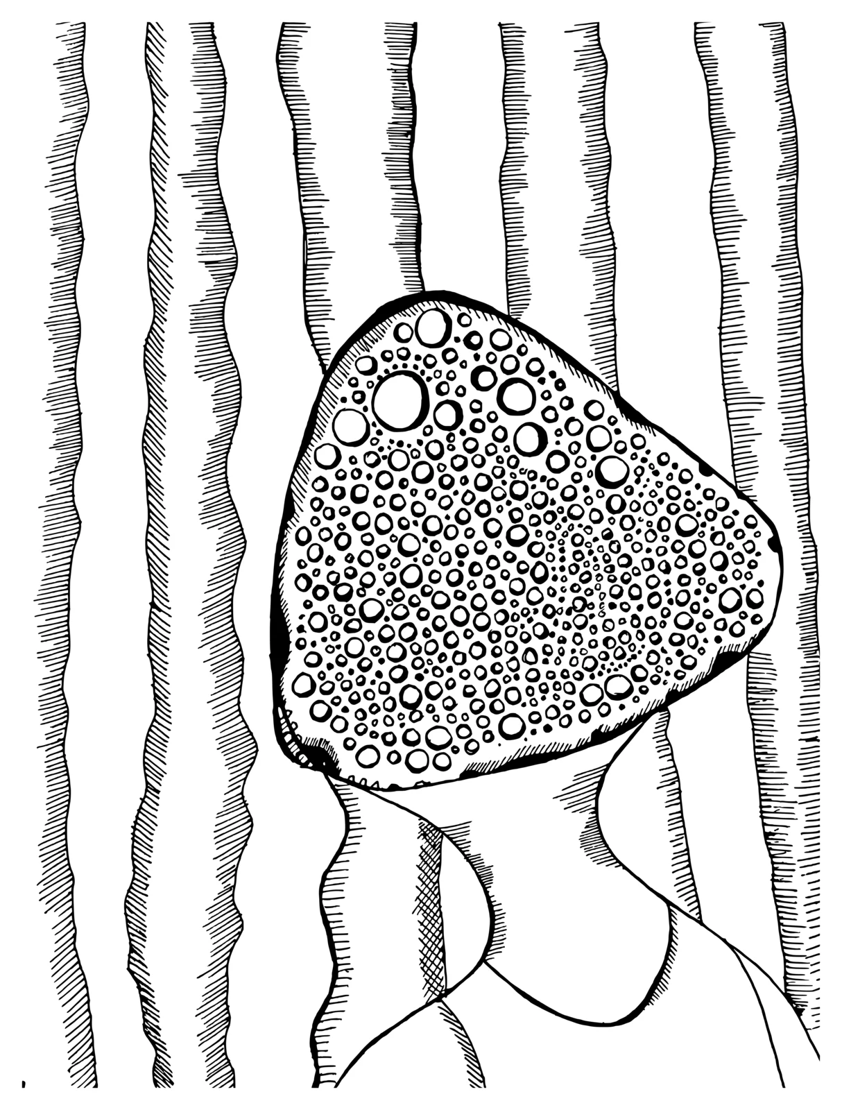Untitled — Abdias Ernesto Garcia